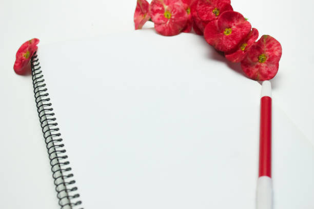 istock White blank notebook and a red Crown of Thorns flower (Euphorbia milii) background 1455007393