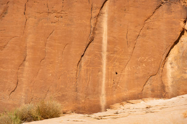 istock Taima, rock carvings from the arabic period 1455010516