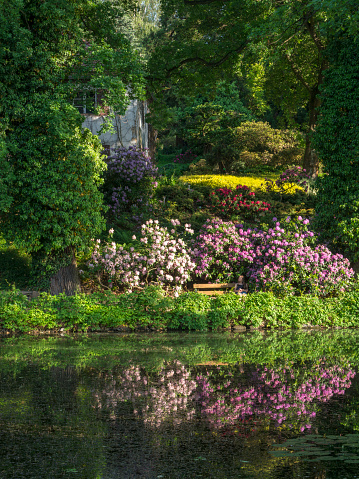 A picturesque pond surrounded by trees and flowers in an arboretum in spring