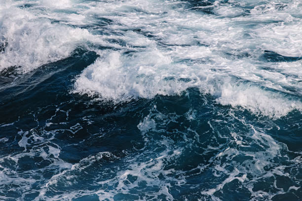 istock Powerful ocean waves close-up. Wavy sea, foam 1455018369