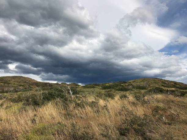istock Torres del Paine 1455020828