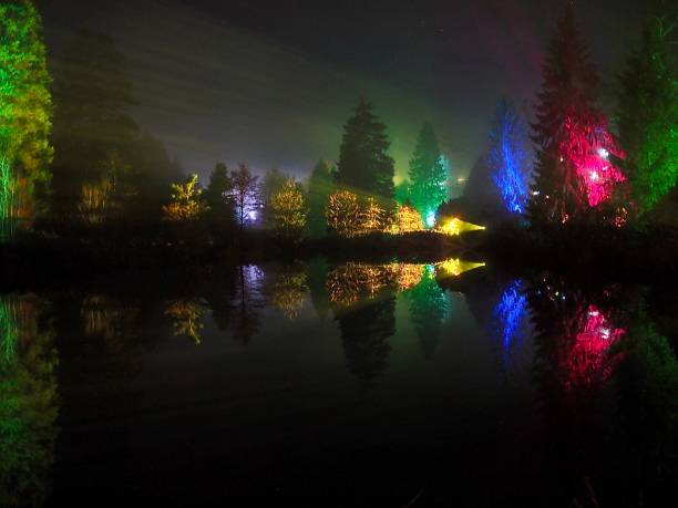 istock Christmas at Bedgebury 1455021341