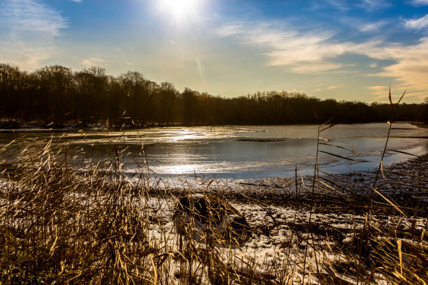 teich im winter - 6721 stock-fotos und bilder