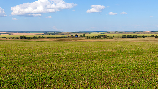 Panorama of a summer landscape with agricultural fields. Expanses of Russian land.
