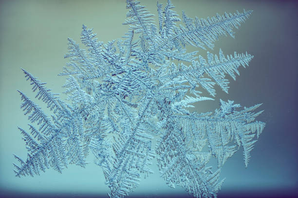 macro shot di cristallo di ghiaccio - frost ice crystal winter macro foto e immagini stock