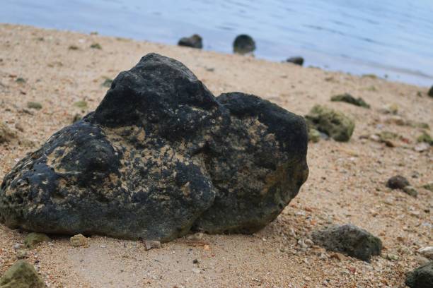 istock rocks on the white sand on the beach 1455034270