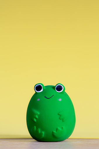 A generic and happy frog soft toy to teach small children about wildlife and nature with copy space