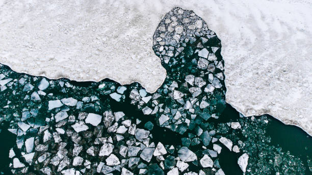 istock Top view of a snowy landscape 1455036122