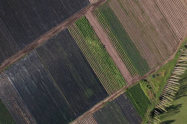 istock Aerial view of agricultural fields 1455038669