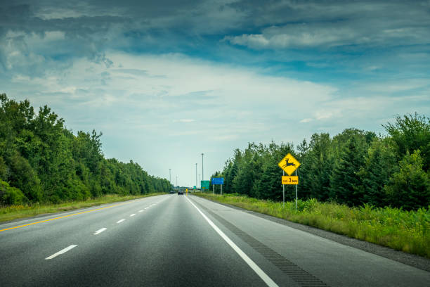 カナダのヘラジカの警告標識のある田舎道 - moose crossing sign ストックフォトと画像