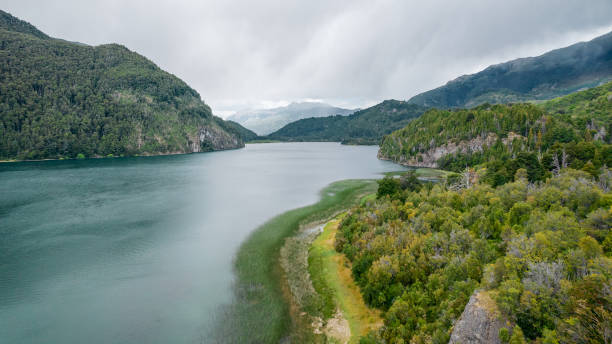 istock Aerial view of a river in a forest 1455039891