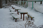 Picnic area in the forest in winter day