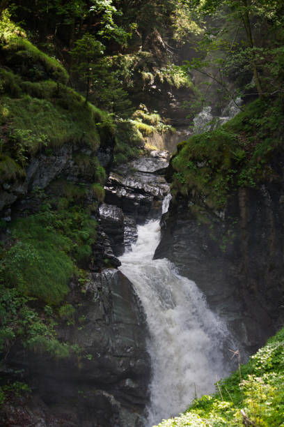 istock Vertical shot of a mountain forest waterfall 1455041928
