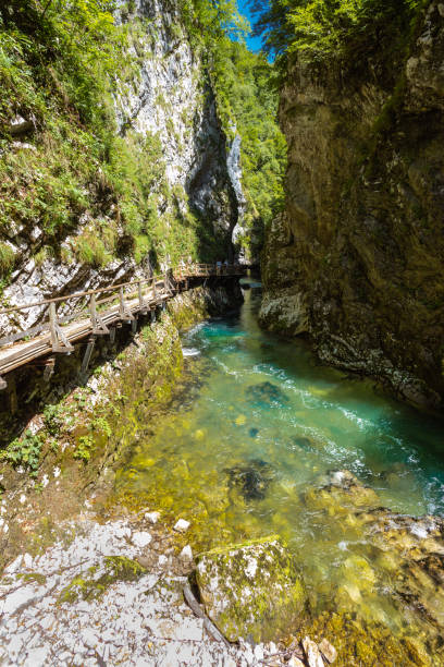 istock Vintgar gorge in Slovenia 1455044168