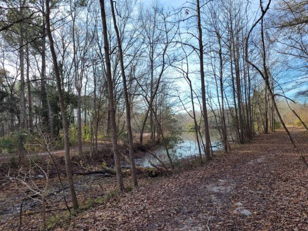 istock South Carolina Trail 1455046308