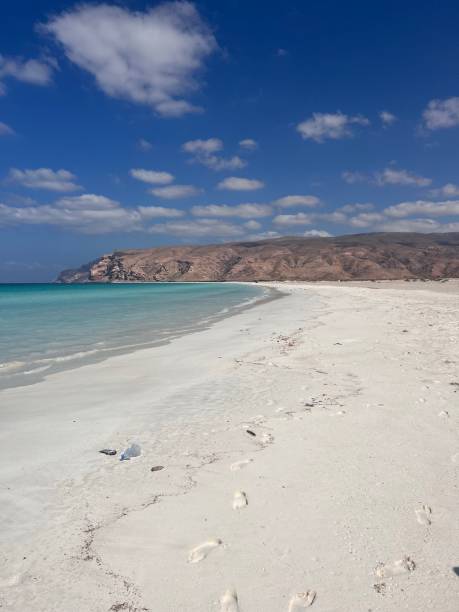 istock Turquoise green waters of Socotra 1455048028
