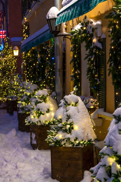 istock Small Christmas trees on snowy street 1455048946