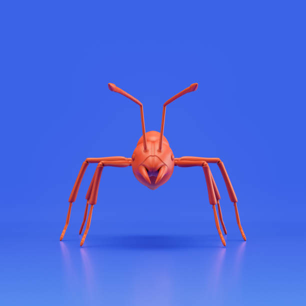 Ant monochrome single color insect. Red color single varmint from front view, bug, 3d rendering, nobody