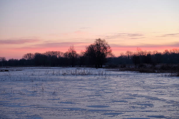 istock Frosty morning over a snow field 1455049903