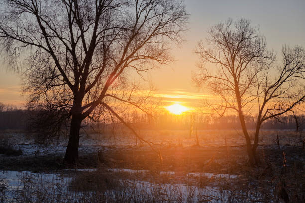 istock Sunrise over the snow field 1455049906