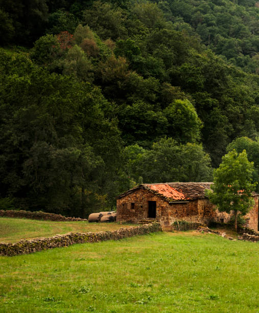 istock Cottage in Valle del Pas, Cantabria, Spain 1455052780