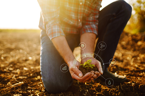 Young plant in hands with soil with graphic concepts. Monitoring the growth of sprougt plants. Modern Agricultural Information Technology Integrate concept.