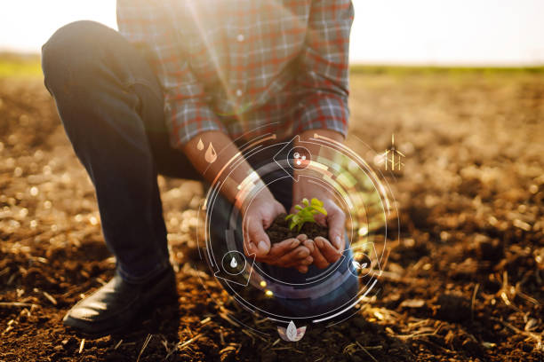 istock Young plant in hands with soil with graphic concepts. 1455054043