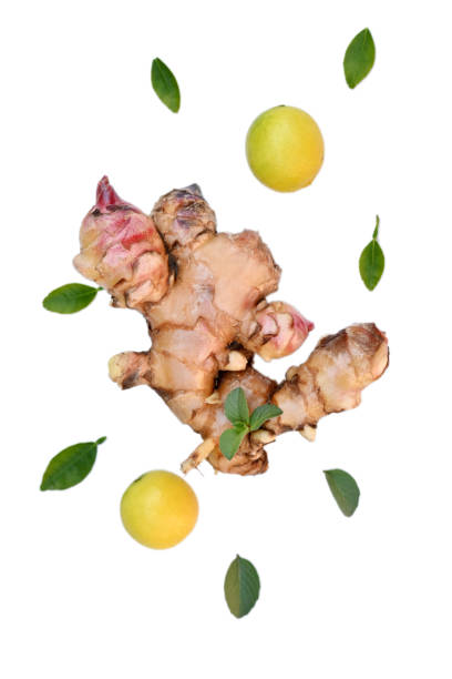 closeup the ripe maroon brown ginger with yellow green lemon and green leaves on the white background.