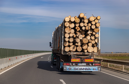 Transylvania, Romania - October 24, 2022: A picture of a logging truck on a Romanian highway.