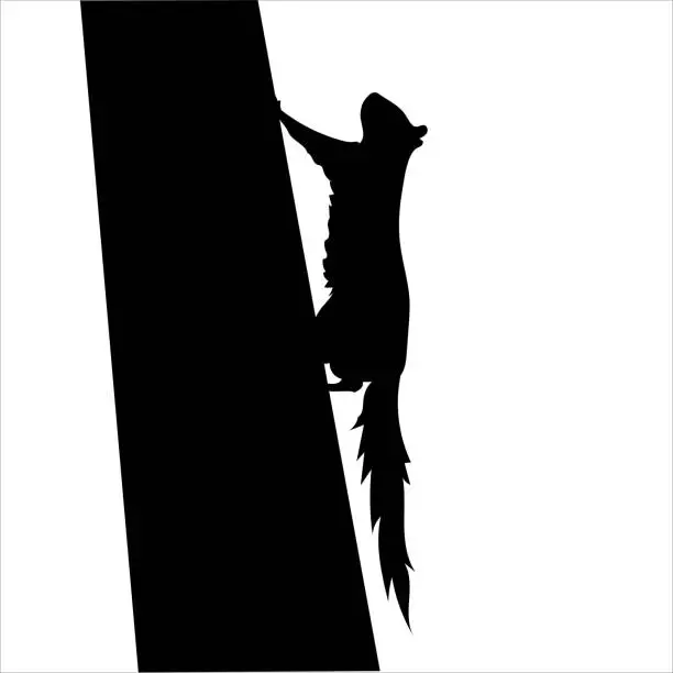 Vector illustration of Squirrel On A Tree Silhouette