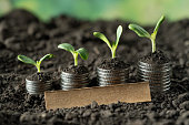geld.jpg?b=1&s=170x170&k=20&c=RecCl9k0lGWQG8_hPZAgUTI3EIefLcU5rS1NNjcU-1k=