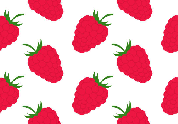 라즈베리 원활한 패턴 또는 질감. 여름 과일, 베리 배경입니다. 벡터 그림입니다. - wallpaper pattern raspberry pattern seamless stock illustrations