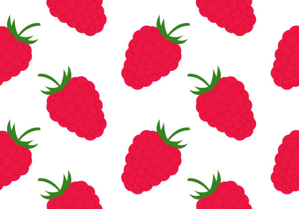 ilustrações, clipart, desenhos animados e ícones de padrão ou textura sem costura de framboesa. fruta de verão, fundo de baga. ilustração vetorial. - raspberry