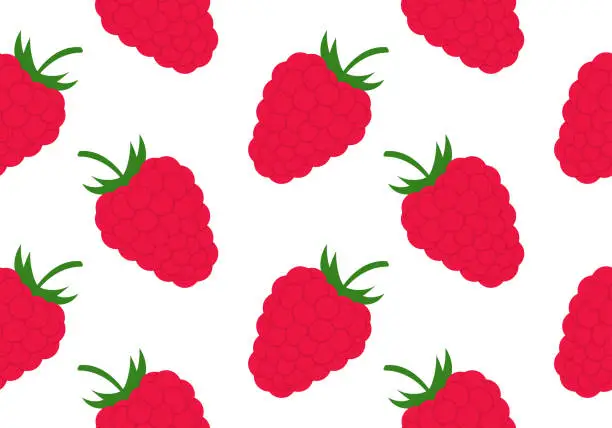 Vector illustration of Raspberry seamless pattern or texture. Summer fruit, berry background. Vector illustration.