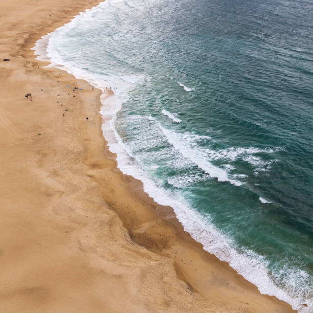 istock Bird's eye view of a beach with braking waves 1455063682
