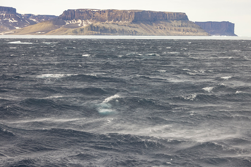 The Weddell Sea is an inhospitable environment.