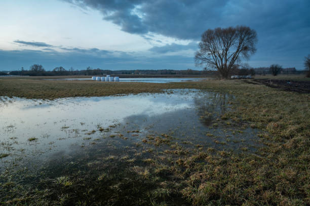 istock Water on flooded meadow and overcast sky 1455065078