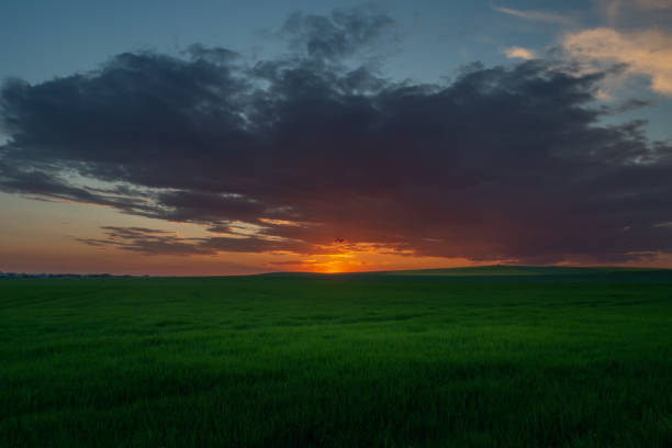 istock Sunset with evening cloud over green rural field, Staw, Poland 1455065095