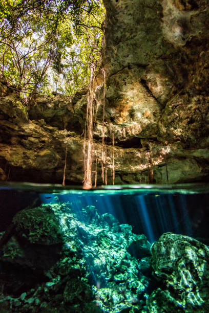 istock Cenote dos ojos above and under 1455069092