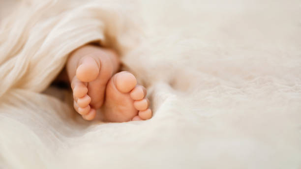 newborn baby feet closeup on soft cream wrap in a selective focus - simplicity purity new life innocence imagens e fotografias de stock