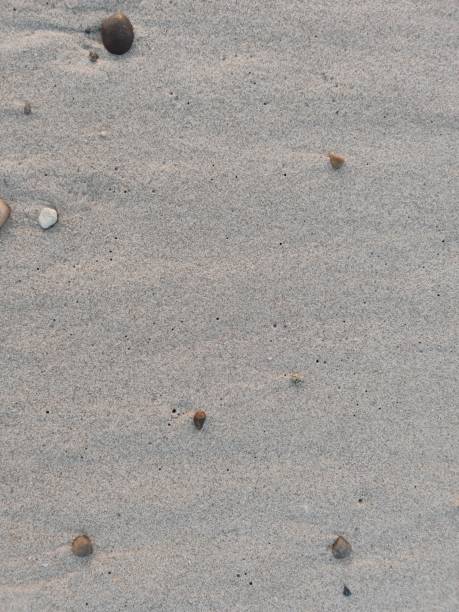 Sands and stones on the beach