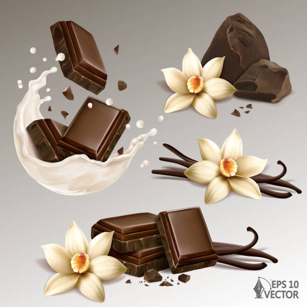 Realistic set of natural vanilla flowers and sticks, chocolate slices and crumbs in a milk or yogurt splash, 3d vector illustration Realistic icon set of natural vanilla flowers and sticks, chocolate slices and crumbs in a milk or yogurt splash, 3d vector illustration vanilla orchid stock illustrations