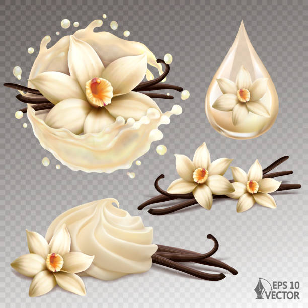 realistisches vektorset aus natürlichen vanilleblüten, frischem milchspritzer und geschlagener dessertcreme. 3d-illustration - vanille stock-grafiken, -clipart, -cartoons und -symbole