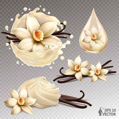 Realistic vector icon set of natural vanilla flowers, fresh milk splash and whipped dessert cream. 3d illustration