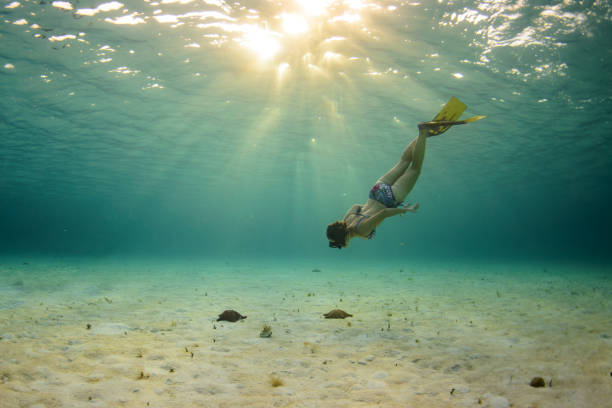 istock Woman underwater in the caribbean 1455073392