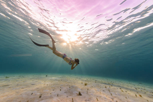 woman underwater in the caribbean - cozumel imagens e fotografias de stock