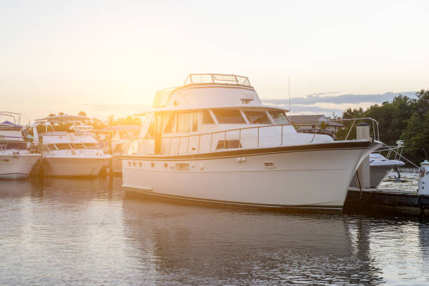 istock Luxury boats on a harbor in Miami 1455075902