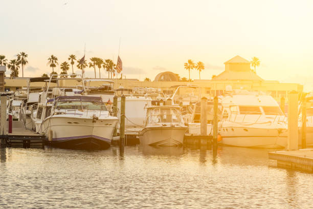 istock Luxury boats on a harbor in Miami 1455075954