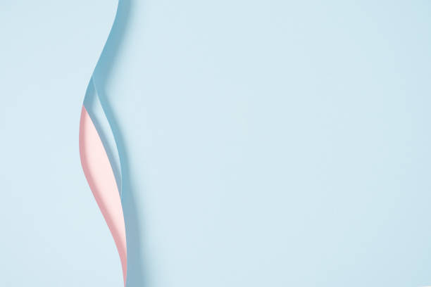 Abstract colored paper texture background. Minimal paper cut composition with layers of geometric shapes and lines in pastel pink and light blue colors. Top view, copy space