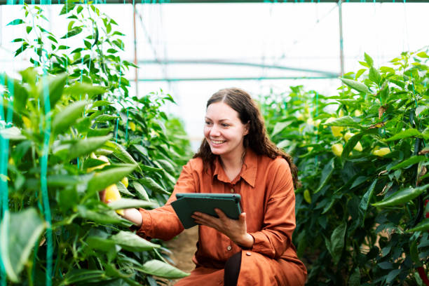 istock Young woman working in greenhouse using digital tablet 1455077426